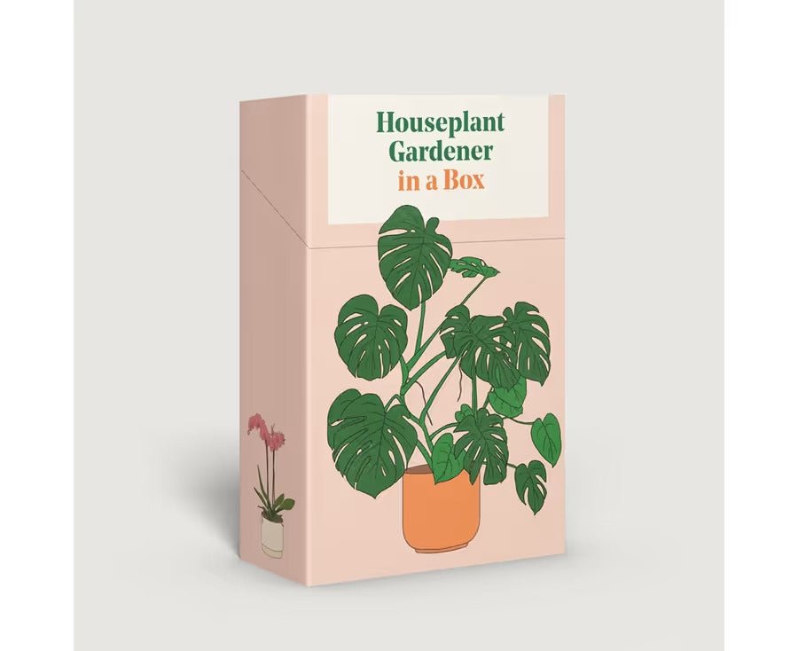 Houseplant Gardener in a Box | The Plant Boys
