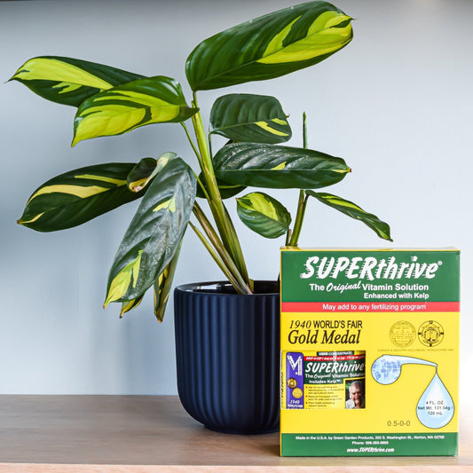 Superthrive Vitamin Solution | The Plant Boys