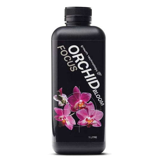 Orchid Focus Bloom | The Plant Boys